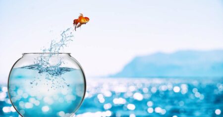 Nyheter i Business Central 2021