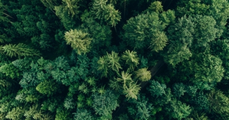 AI-driven_dataanalys