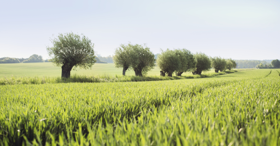 Kraftringen_nytt_CRM